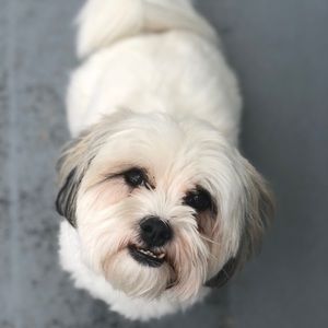 Meet your Posher, Caren